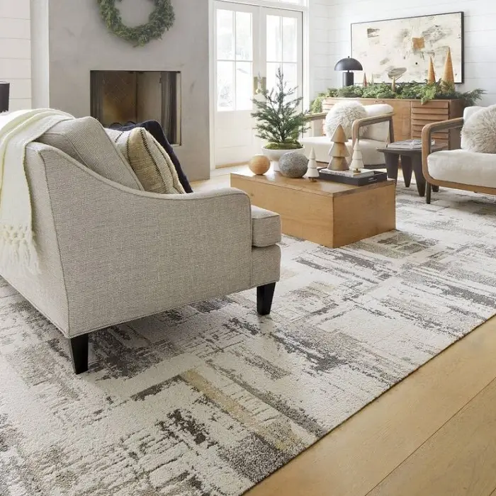 Modern Rugs in livingroom