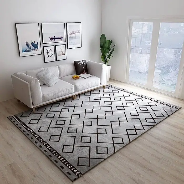 Modern Rugs under sofa